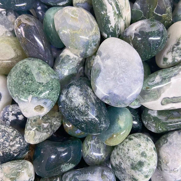 Moss Agate Tumbled Crystals